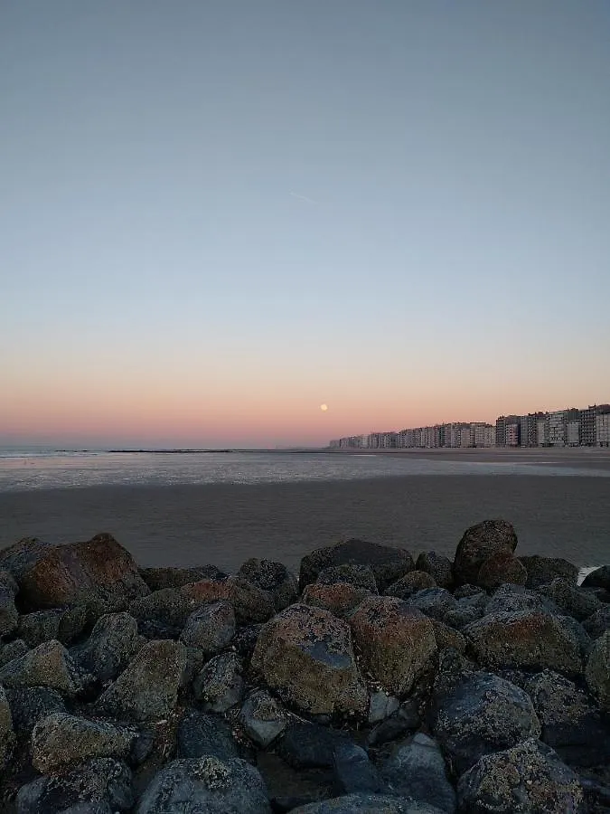 Splendid Seaview - Ostend Luxury Studio 4 Persons At Beach And Sea Apartment